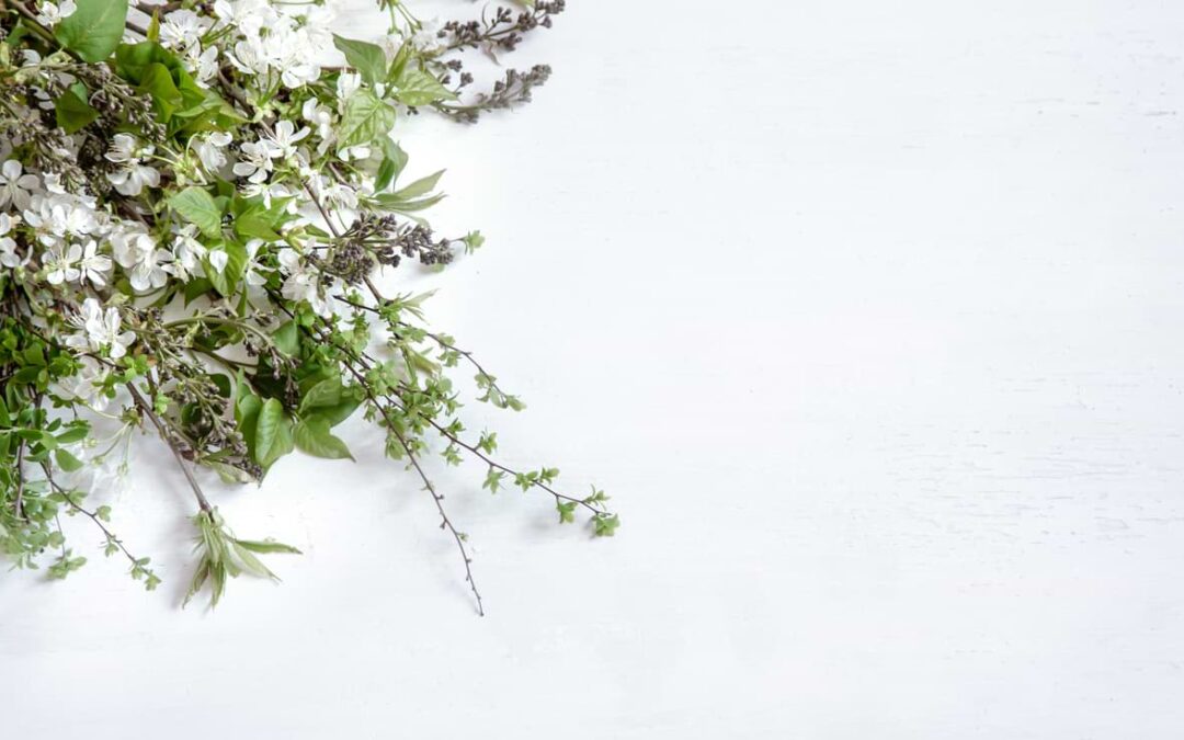 Ayurveda és az Allergia ~ 10 természetes és hasznos tipp